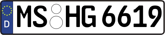 MS-HG6619