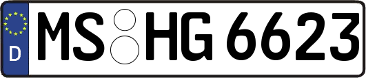 MS-HG6623