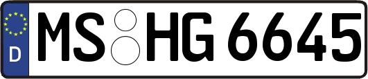 MS-HG6645