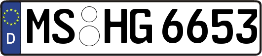 MS-HG6653