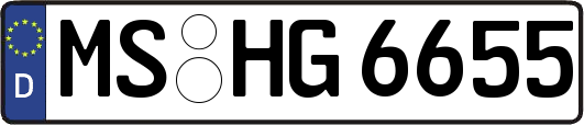 MS-HG6655