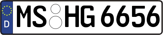 MS-HG6656