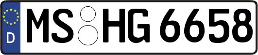 MS-HG6658