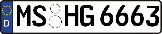 MS-HG6663