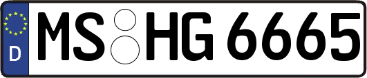 MS-HG6665