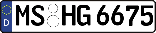 MS-HG6675
