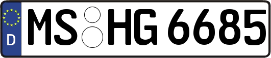 MS-HG6685