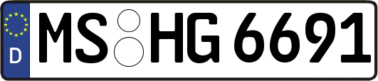 MS-HG6691