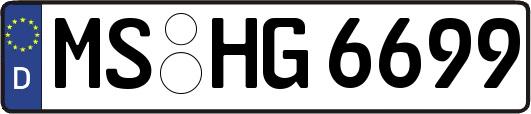 MS-HG6699
