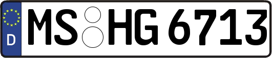 MS-HG6713