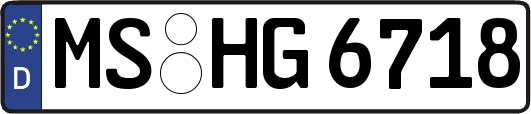 MS-HG6718