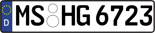 MS-HG6723