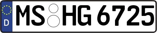 MS-HG6725