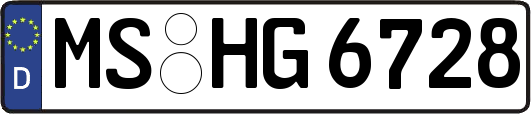 MS-HG6728