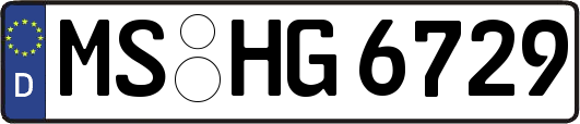 MS-HG6729
