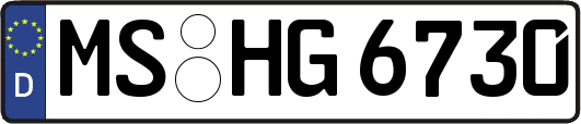 MS-HG6730