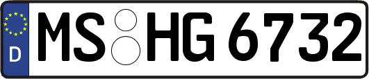 MS-HG6732