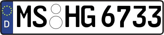 MS-HG6733