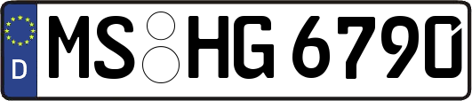 MS-HG6790
