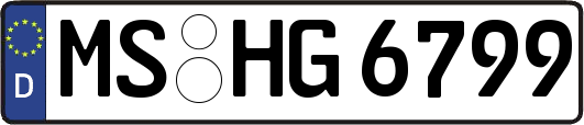 MS-HG6799