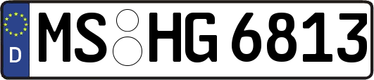 MS-HG6813