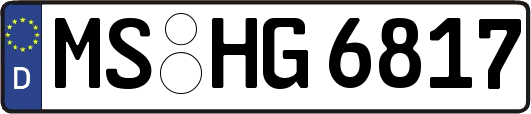 MS-HG6817