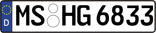 MS-HG6833