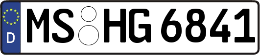 MS-HG6841