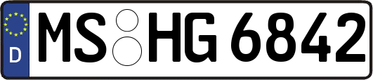 MS-HG6842