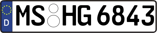 MS-HG6843