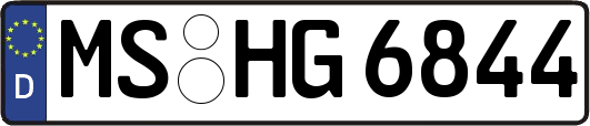 MS-HG6844