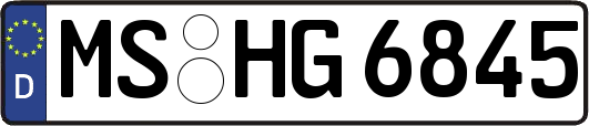 MS-HG6845