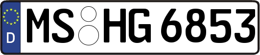 MS-HG6853