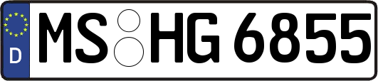 MS-HG6855