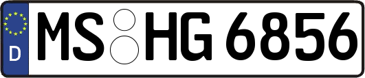 MS-HG6856