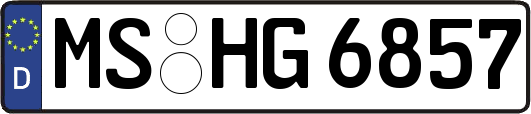 MS-HG6857