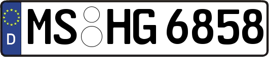 MS-HG6858