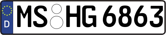 MS-HG6863