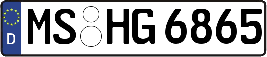 MS-HG6865