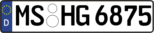 MS-HG6875