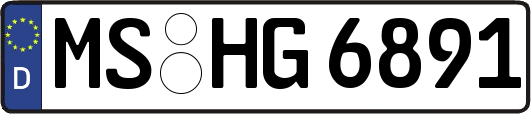 MS-HG6891