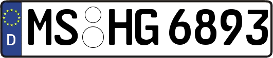MS-HG6893