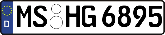 MS-HG6895