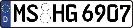 MS-HG6907