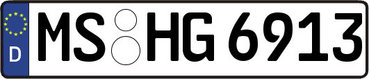 MS-HG6913