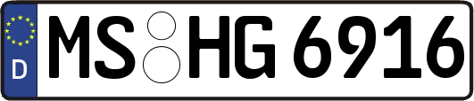 MS-HG6916