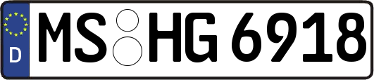 MS-HG6918