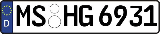 MS-HG6931