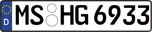 MS-HG6933