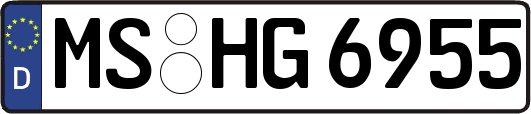 MS-HG6955